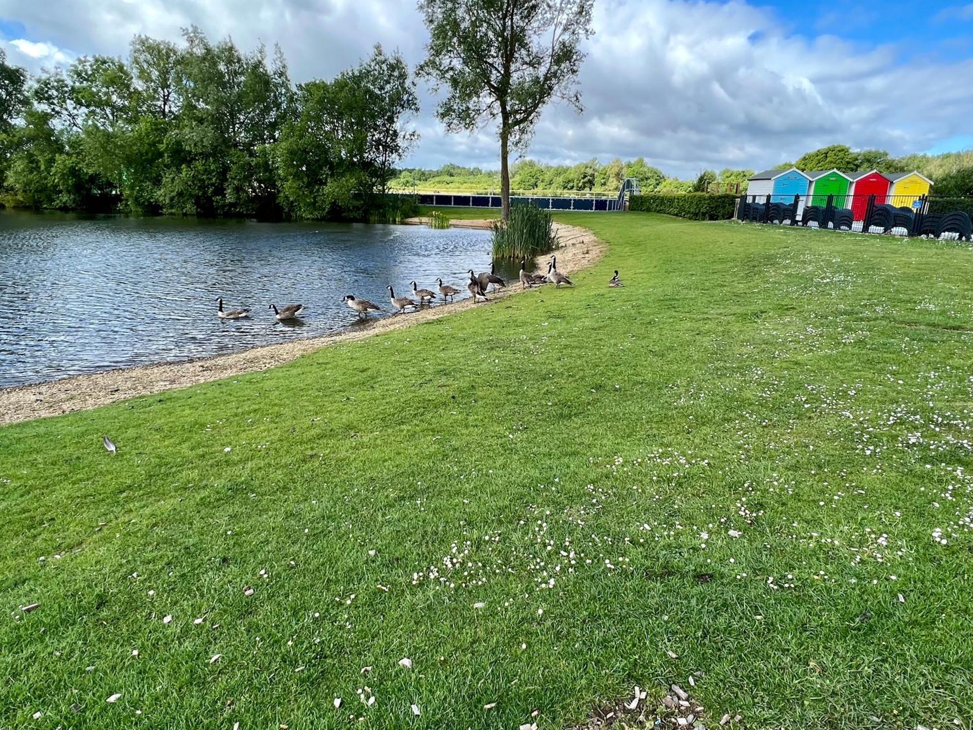 Bluebell Lodge, Dog Friendly South Cerney Kültér fotó